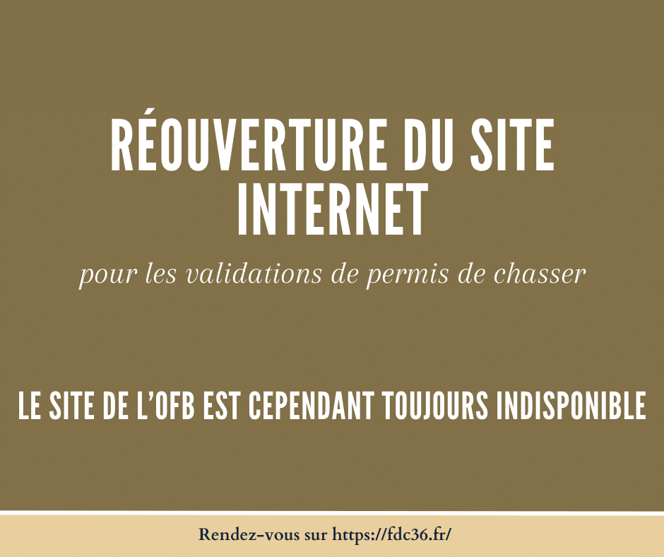 Réouverture site