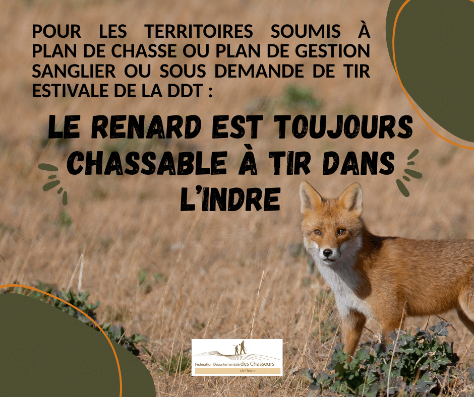 Vert Marron Formes Abstraites Road Trip Post Facebook