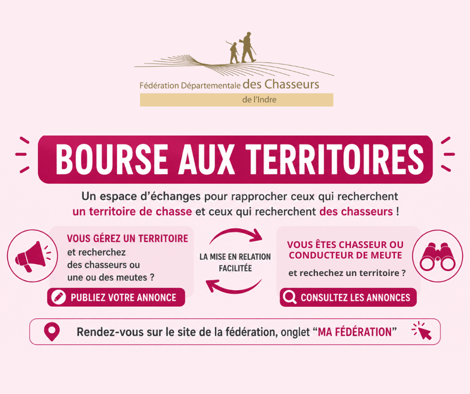 Vous êtes chasseur ou conducteur de meute (1)