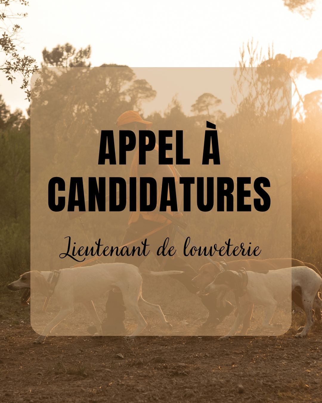 appel a candidature